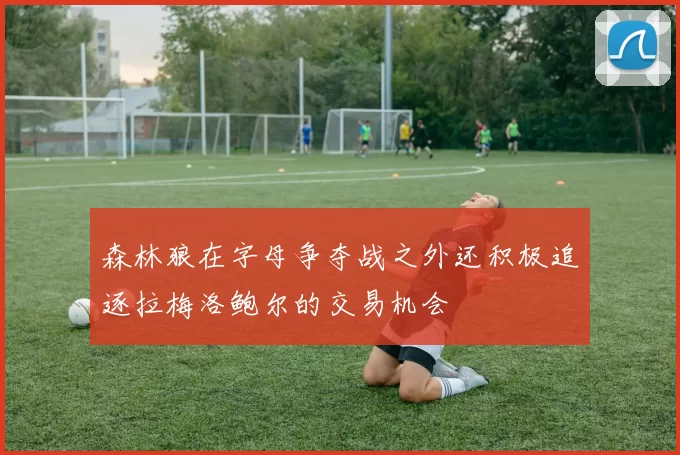 森林狼在字母争夺战之外还积极追逐拉梅洛鲍尔的交易机会